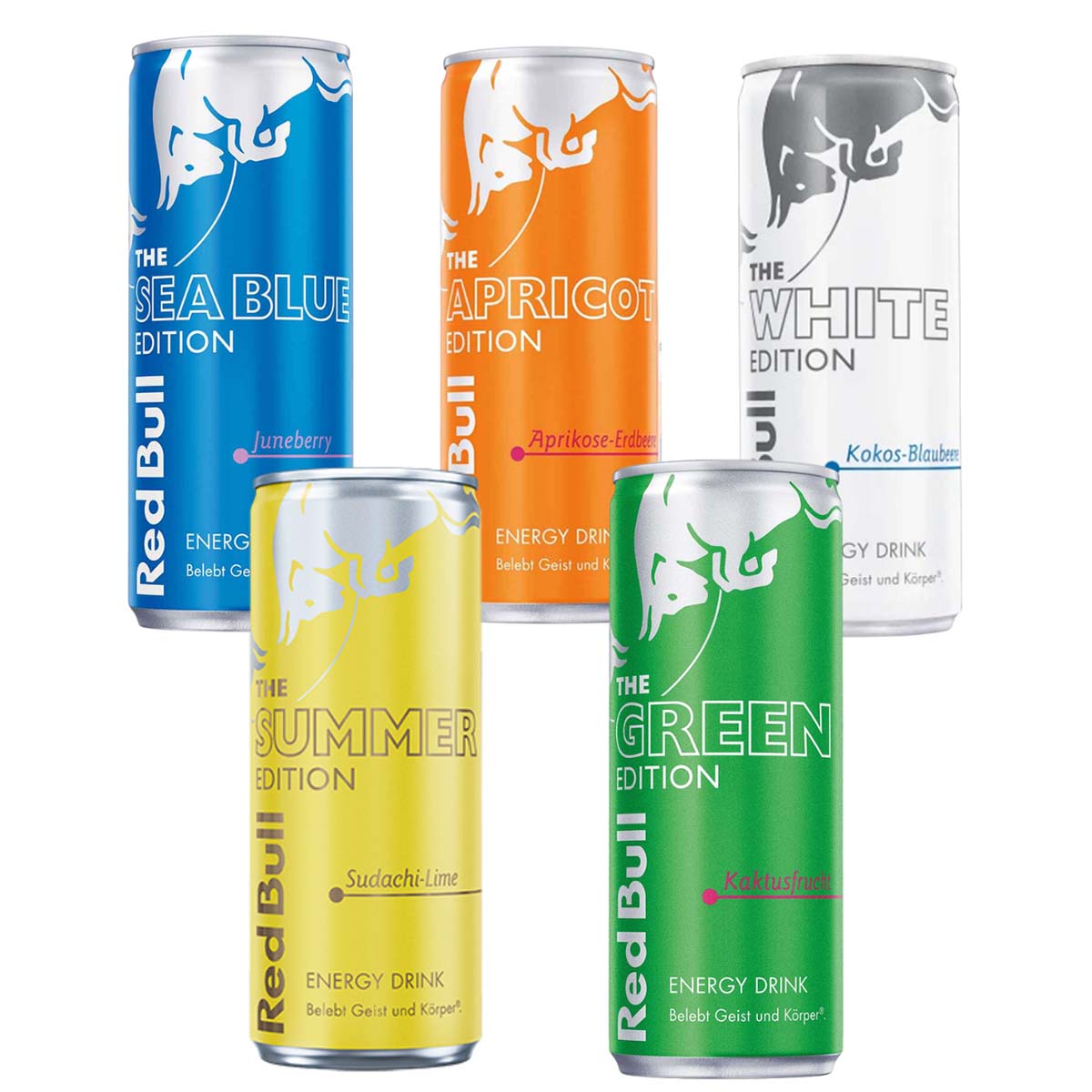 Red Bull Energy Probierpaket 5 x 250 ml